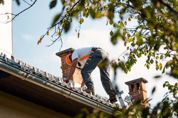 Best Residential Roofing Contractor  in Lusk, WY