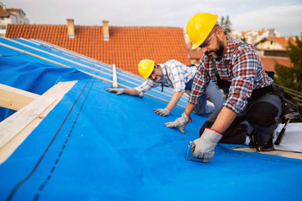 Best Roof Gutter Cleaning  in Lusk, WY
